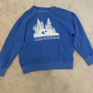 American Eagle Outfitters Blue Crewneck Sweater
